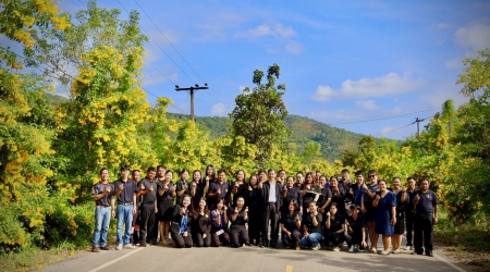 ขอเชิญชวนถ่ายภาพกับต้นทองอุไร ณ ถนนเส้นทาง ตำบลศรีสำราญ - ไปตำบลโสมเยี่ยม